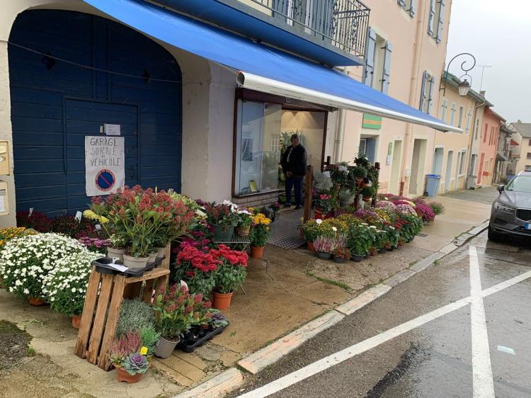 LES PERVENCHES