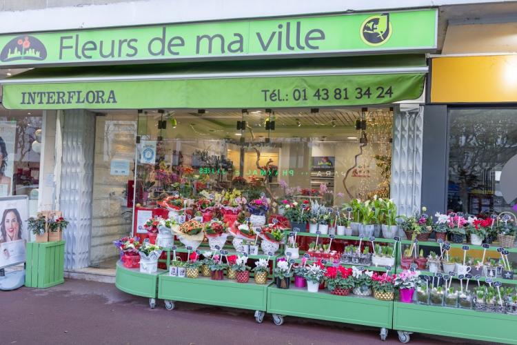 Fleurs de ma ville