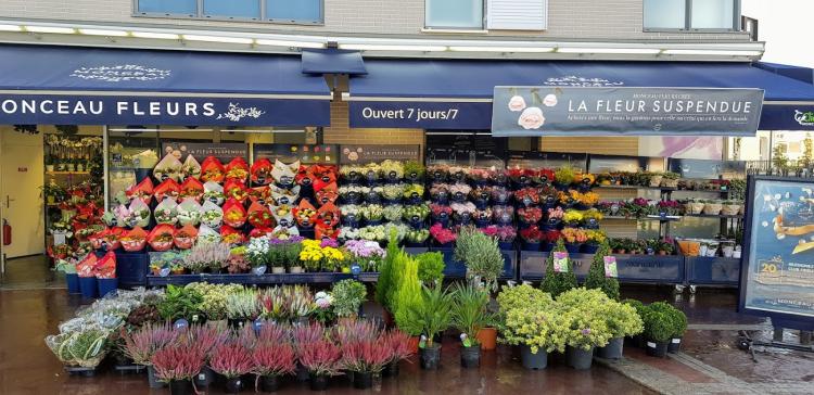 Monceau Fleurs