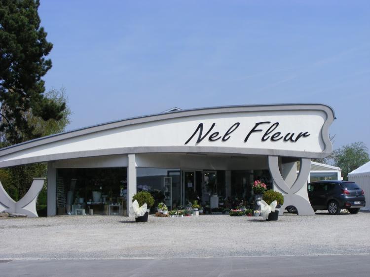 Nel Fleur
