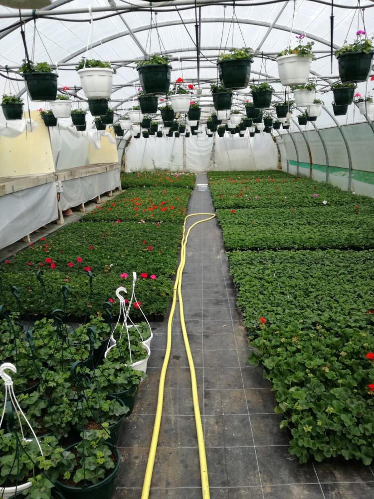 la ferme horticole