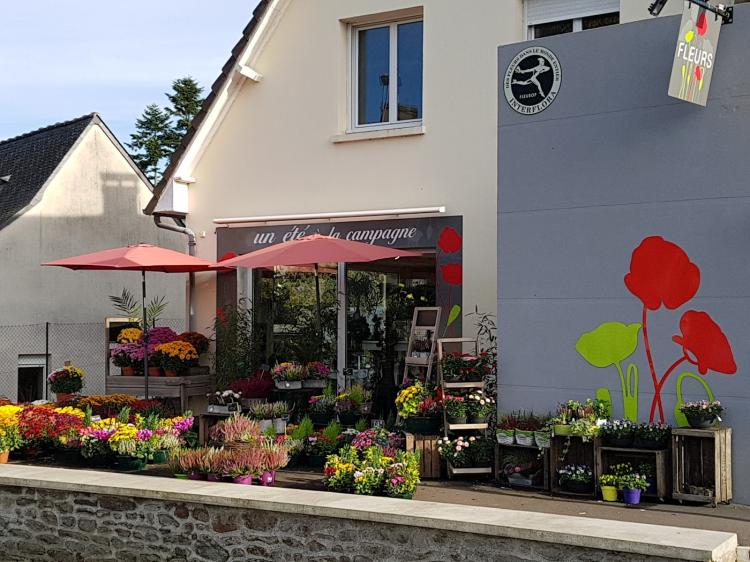 Un Eté à La Campagne