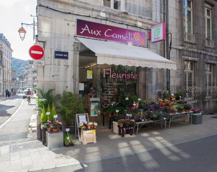 Aux Camélias Fleuriste