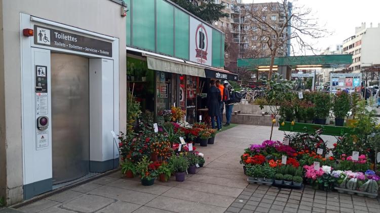 Laplace Fleurs