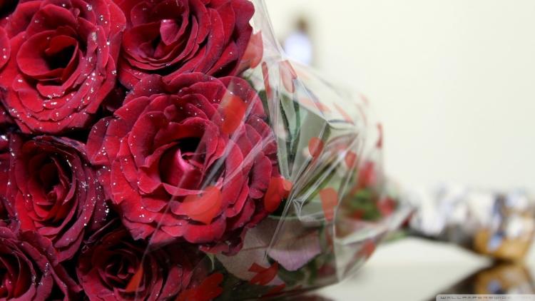 Horti'B et Fleurs Meyer