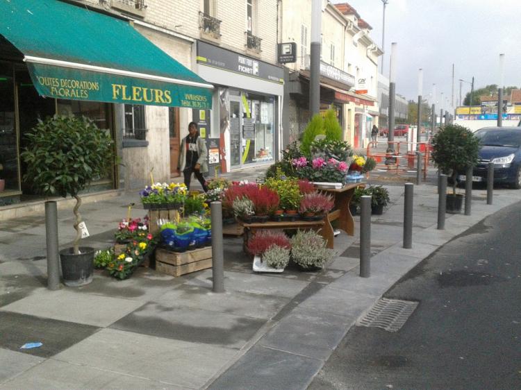 La Cane Fleurie