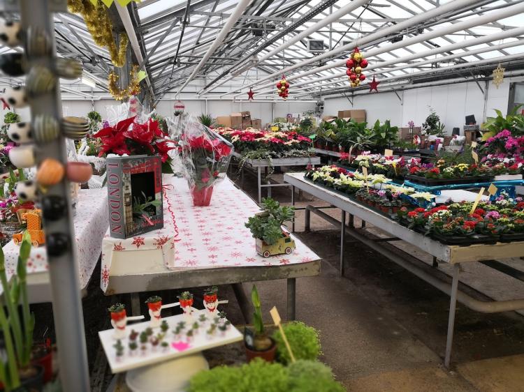 SARL LOGEART HORTICULTEUR - FLEURISTE