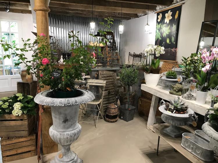 L'Atelier Saint-Priest - Fleurs & plantes - livraison gratui