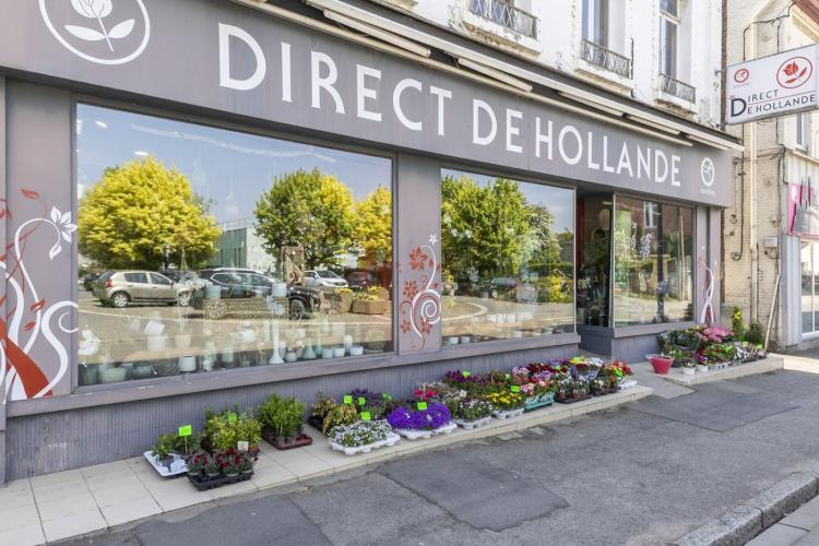 Direct de Hollande, Artisan Fleuriste