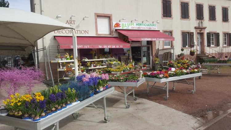 LA GRANGE AUX FLEURS