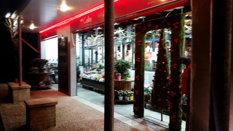 Monceau Fleurs