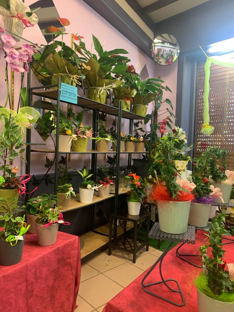 Fleuriste Rotsaert