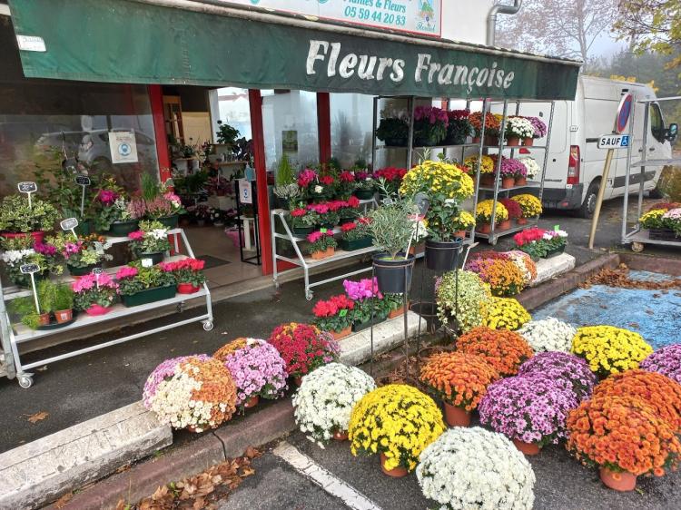 Fleurs Françoise