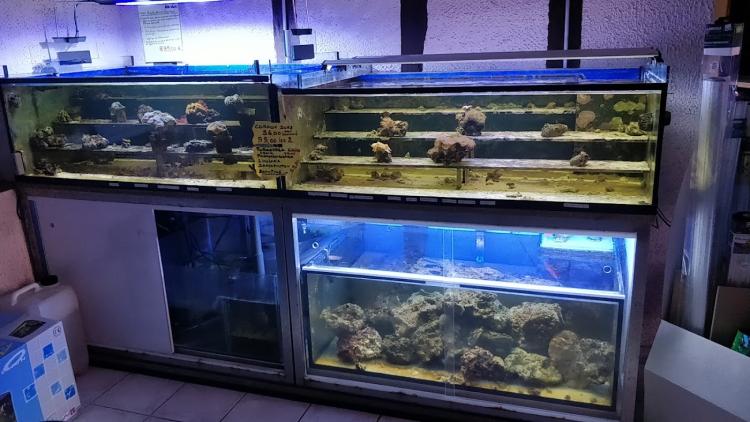 Aquarium Tropical