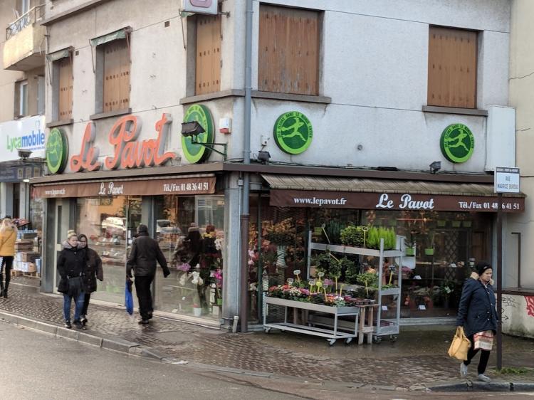 Le Pavot