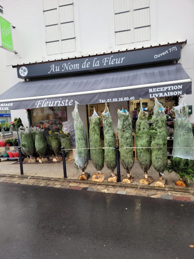 Au nom de la fleur