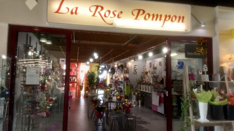 La Rose Pompon