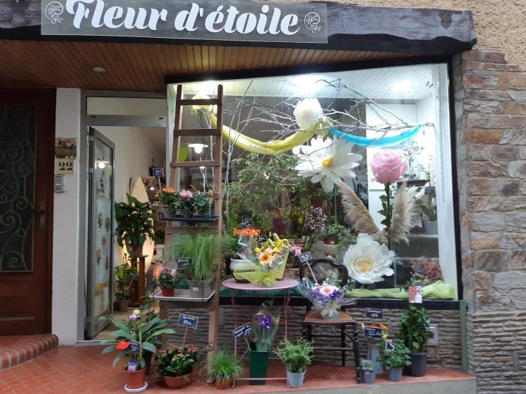 Fleuriste "fleur d étoile "