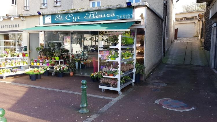 St Cyr Fleurs