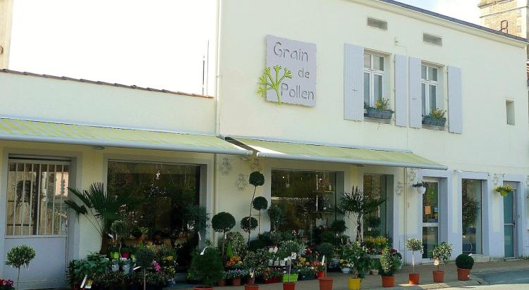 Grain De Pollen