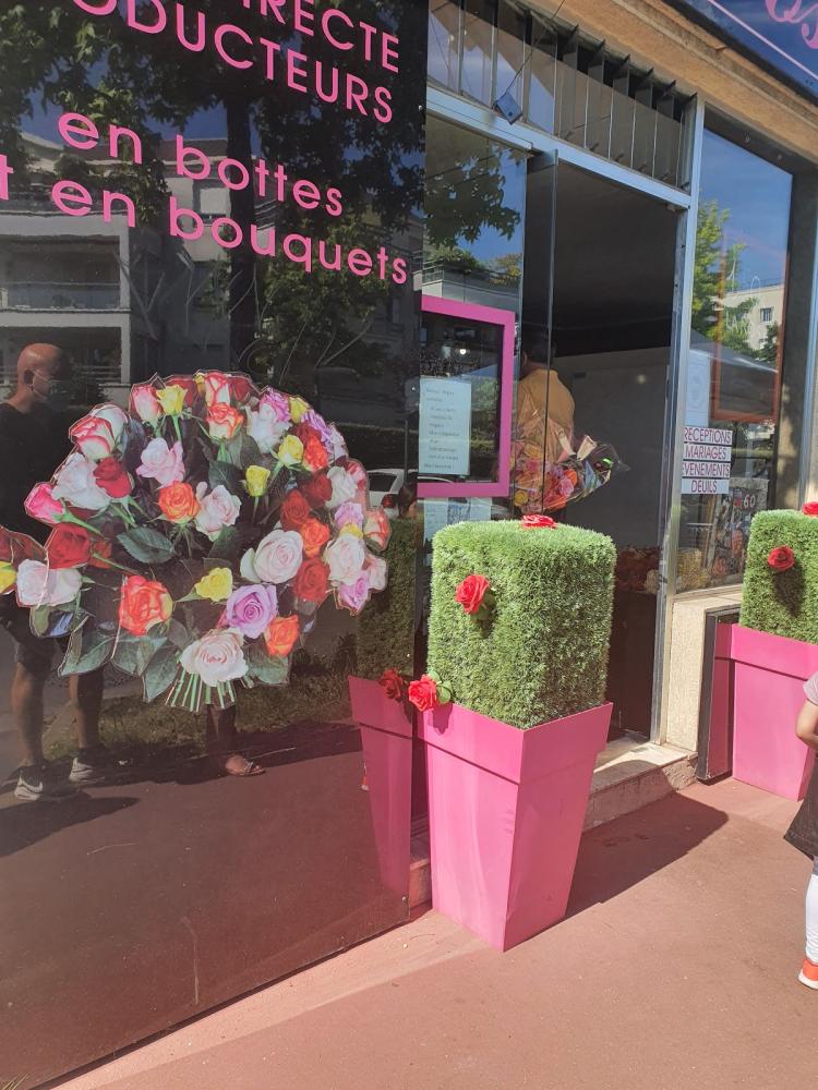 Les Roses de Pauline