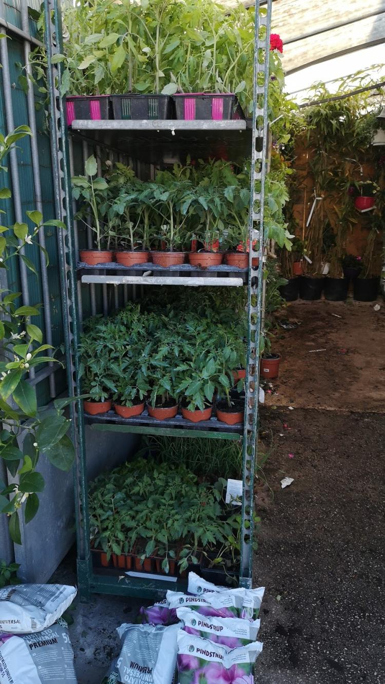 Jardinerie