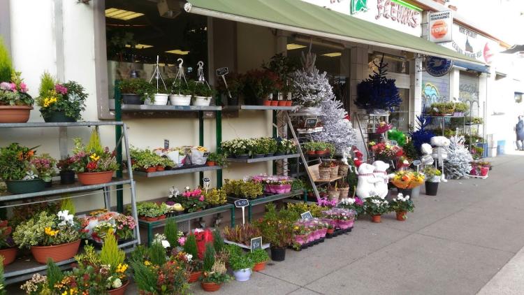 Garden fleurs