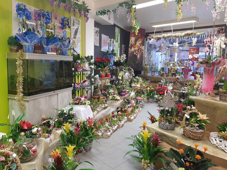 Au Paradis Fleuri