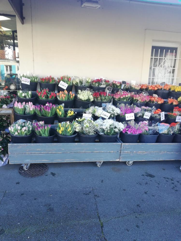 FLEURS PASSION AND CO