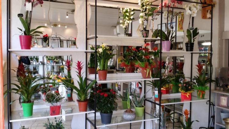 Au Moulin Fleuri