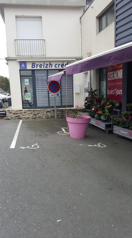 INFINIMENT FLEURS