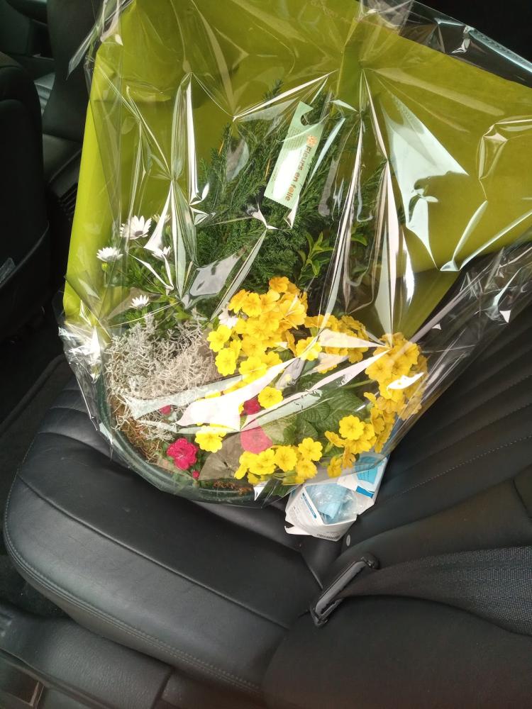 Fleurs En Folie