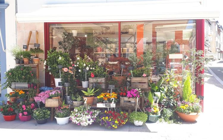 Aux Bois Fleuris