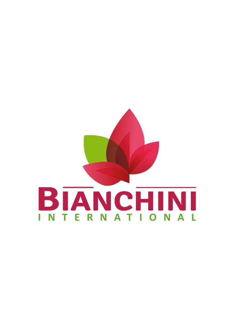 Bianchini International