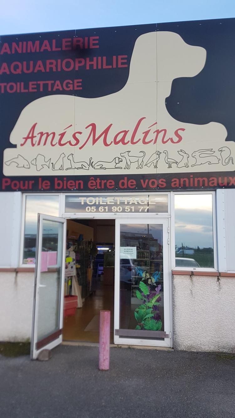 Amismalins