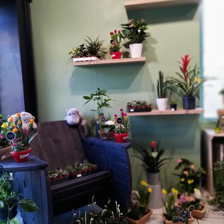 L'atelier botanique