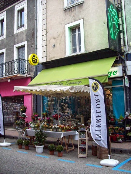 L'Orchidée Sauvage