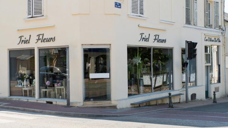 Triel Fleurs Artisan Fleuriste