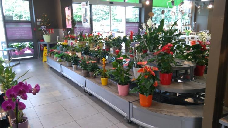 LA HALLE AUX FLEURS