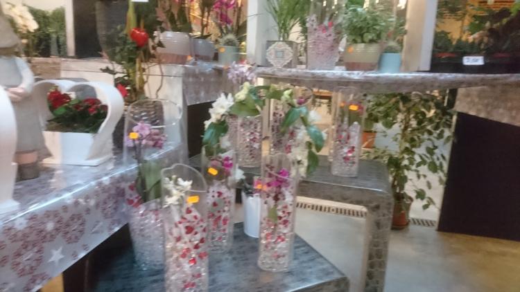 FLEURS ROGEAU