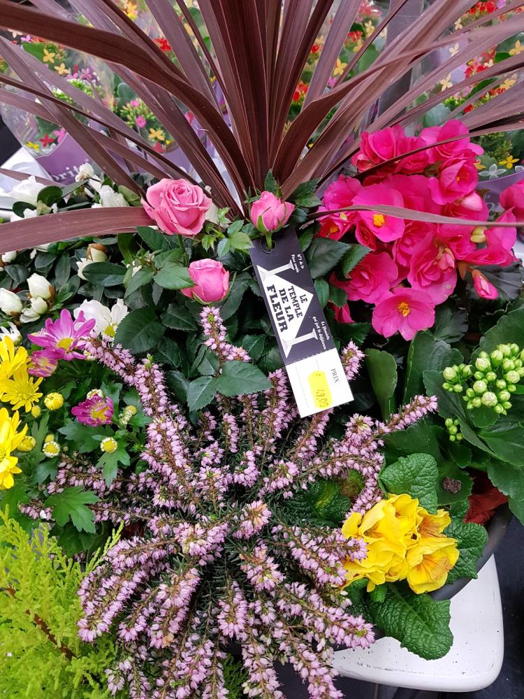 Le temple de la fleur BruaylaBuissière Fleuriste
