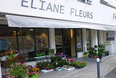 Eliane Fleurs