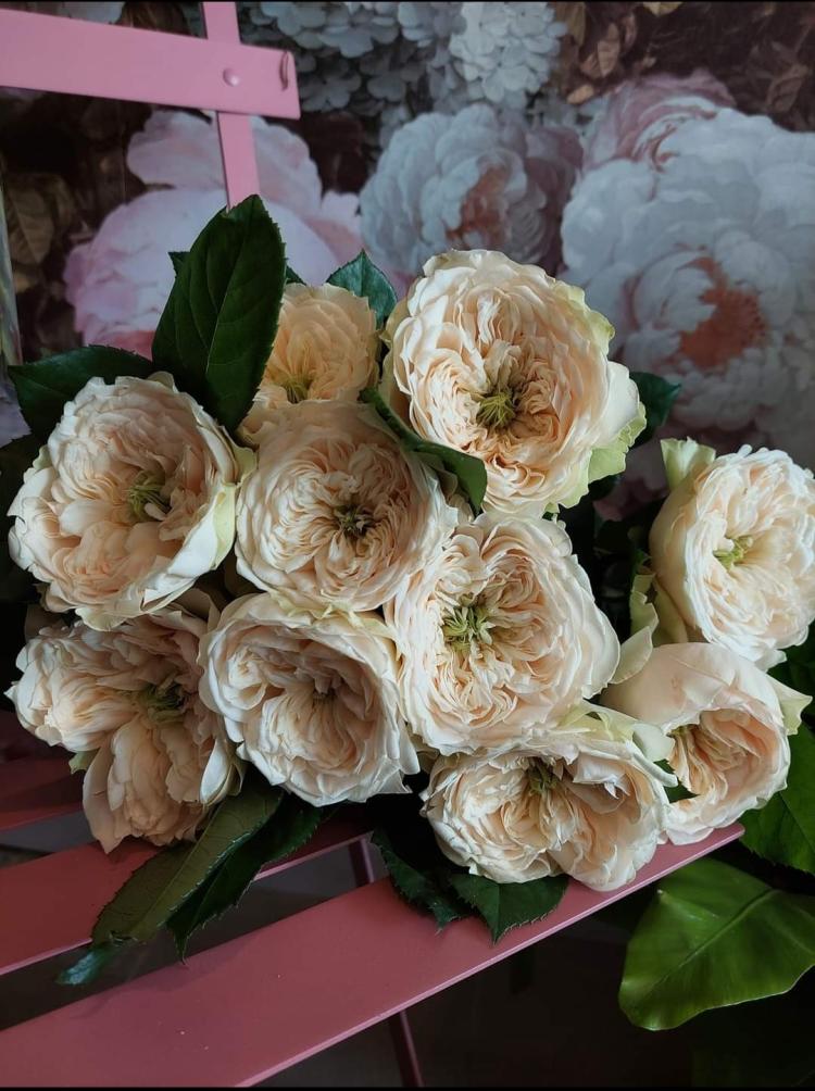Roses et compagnie