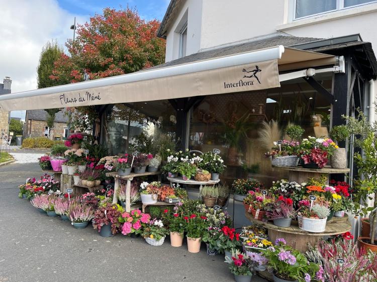 Fleurs du Mené