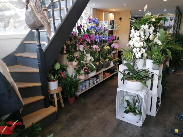 Le Jardin de Lyna