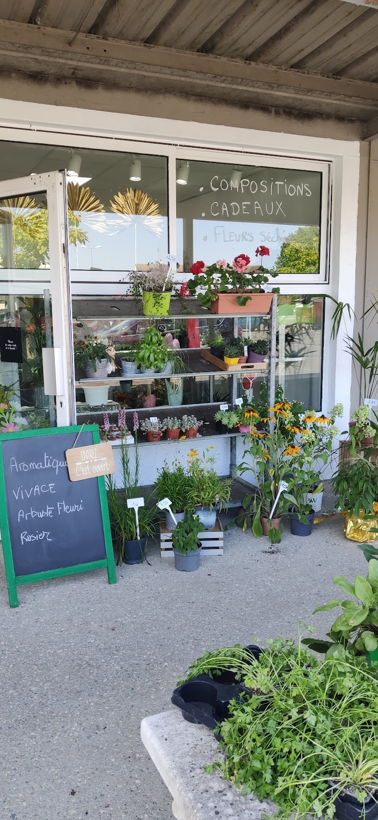 Jardin Fleuri Chez Cathy