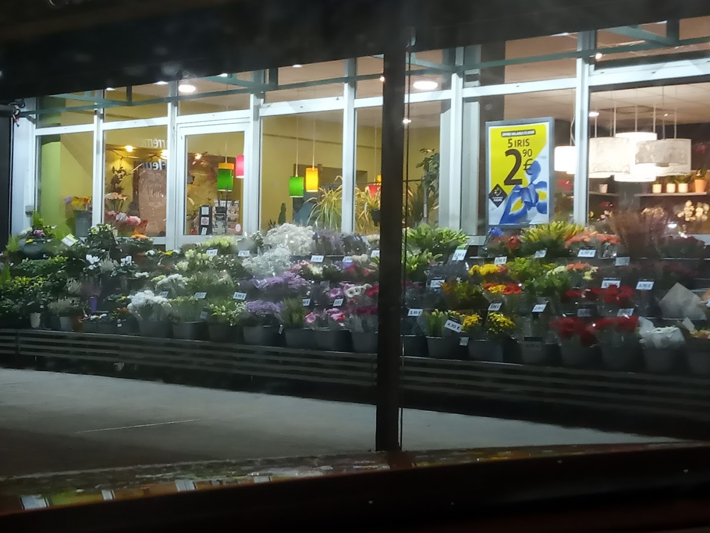 Carrément Fleurs - Fleuriste Toulouse Fronton 31 - Livraison de fleurs à domicile