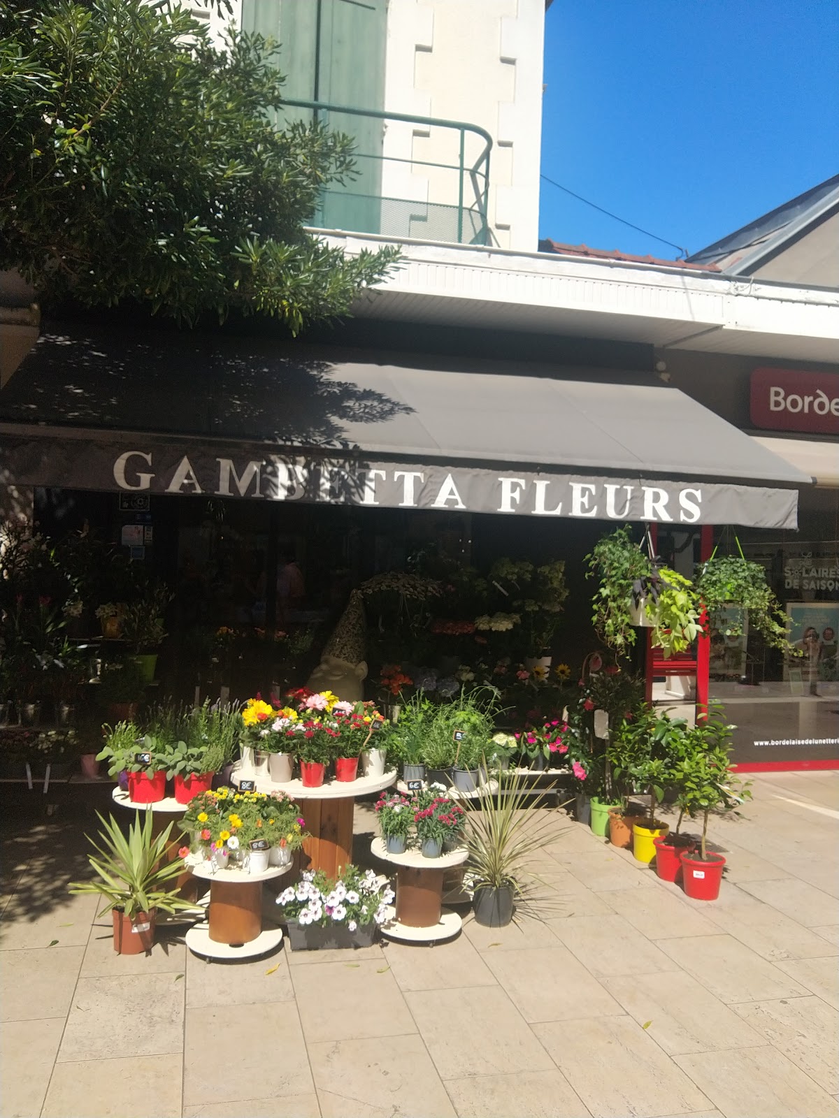 Gambetta Fleurs