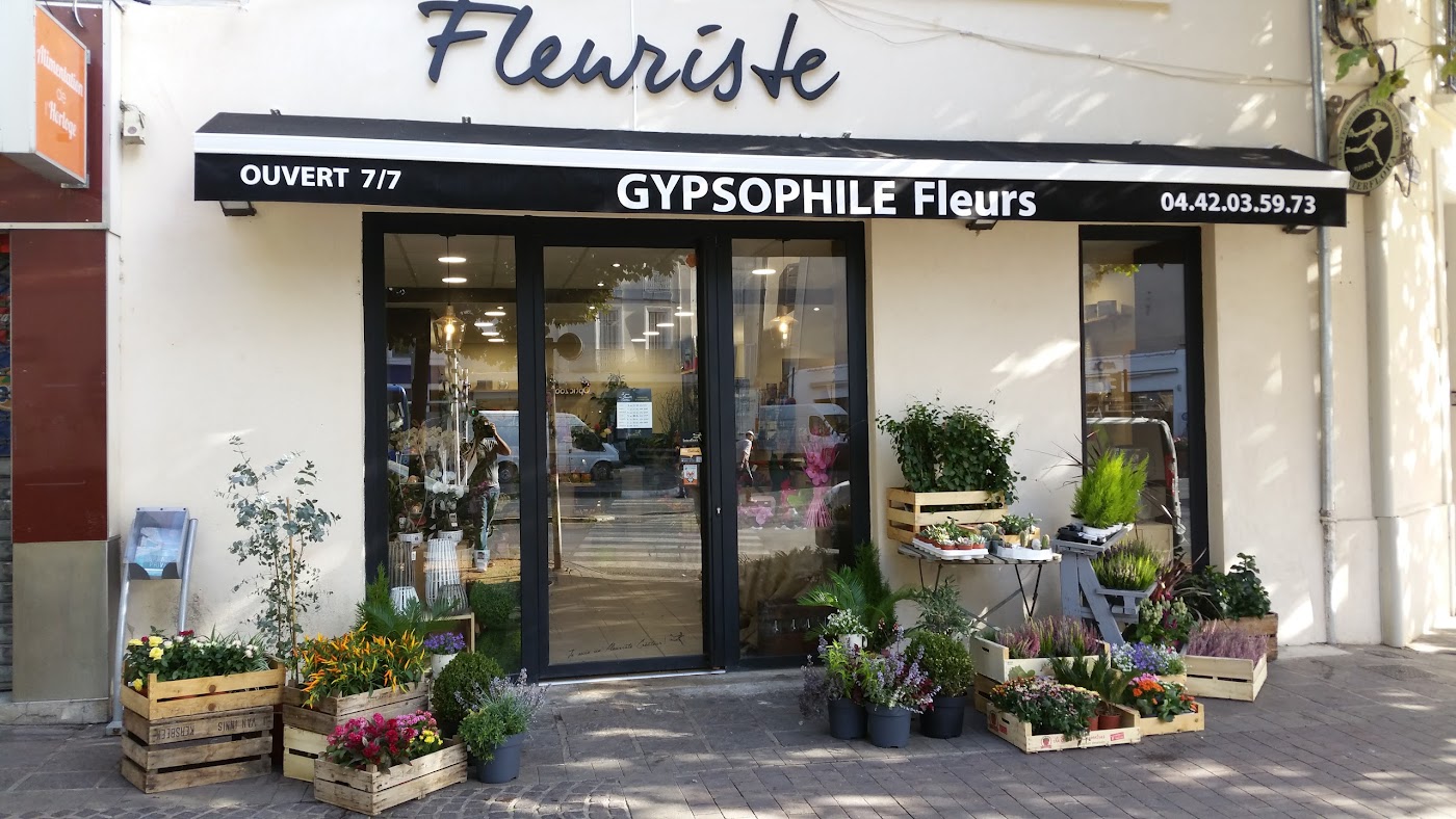 Gypsophile Fleuriste Aubagne