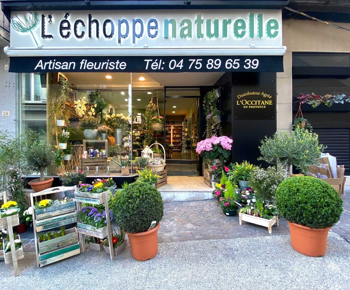 L'Echoppe Naturelle, Artisan Fleuriste Aubenas